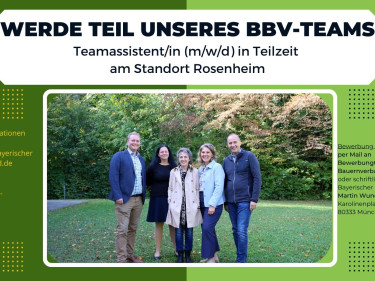 Teamassistenz