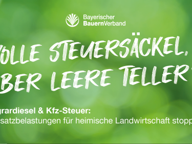 Volle Steuersäckle leere Teller