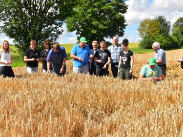 Erntepressegespräch 2024 Betrieb Keller Ohrenbach