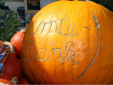 Kürbis für Erntedank