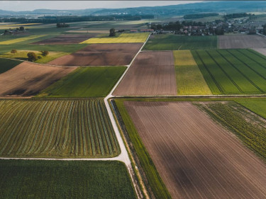 Landwirtschaft