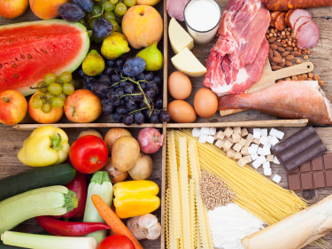 Bayerische Ernährungsstudie
