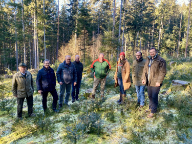 Gruppe im Wald