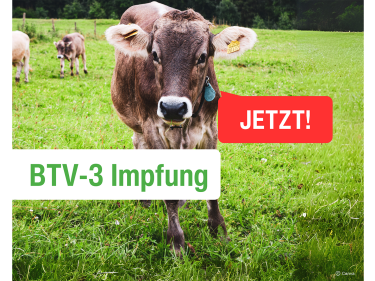 Impfaufruf