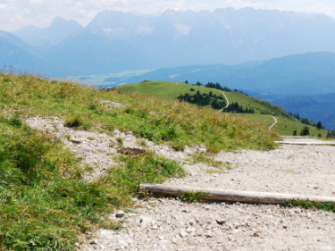 Almwanderung BBV