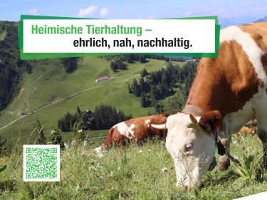#heuteschonklimageschützt Motiv