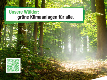 #heuteschonklimageschützt Motiv Wald