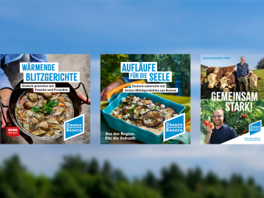 UBB Broschüren