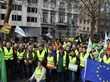 Demo_Brüssel_4