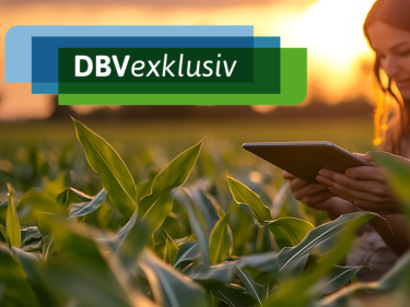 adobestock_974686704_cthe_little_hut_und_canva_und_dbv.png