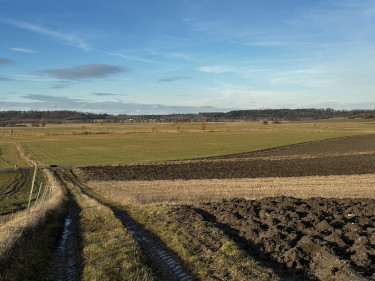 Äcker und Wiesen bei RöttenbachLeutershausen Dietmar Herold