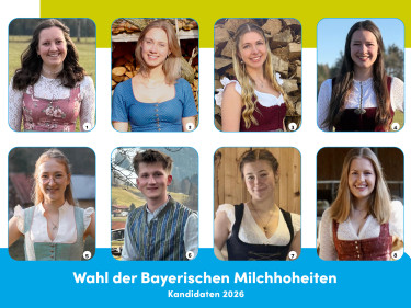Voting Milchhoheiten 2026