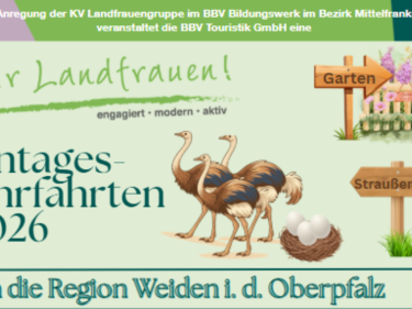 Sommerlehrfahrt Region Weiden
