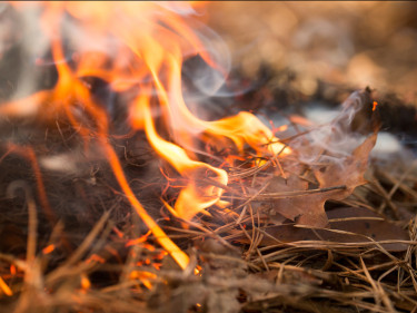 Waldbrand