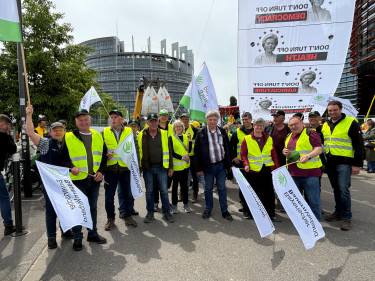 Demo Straßburg