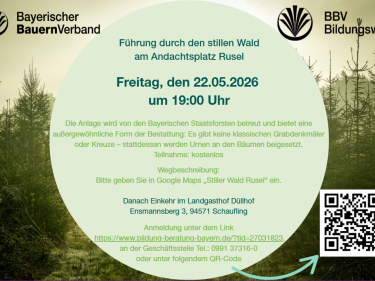 Führung durch den stillen Wald
