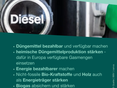 Gemeinsame Protestaktion am 19. Mai 2026 in Straßburg 