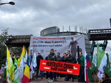 Bild Demo in Straßburg mit Bühne, Flaggen und Demonstrierenden