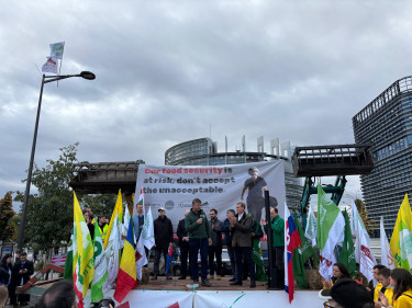 Bild bei einer Demo in Straßburg mit Blick auf eine Bühne, Flaggen und im Hintergrund EU-Gebäude