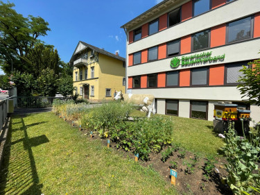 Kulturbeet