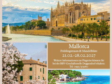 Mallorca zur Mandelblüte