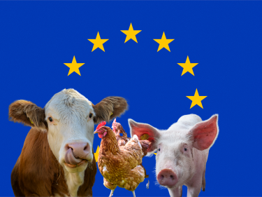 EU-Nutztierhaltungstrategie