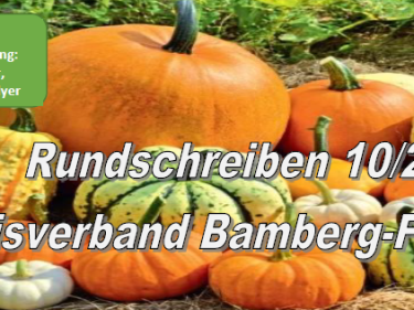Rundschreiben