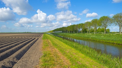 Ein Feld mit einem begradigten Bach rechts daneben