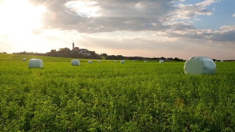 Landwirtschaftliche Fläche in Bayern mit Dorf im Hintergrund