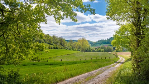 Feldweg durch Tal mit Wäldern und Feldern