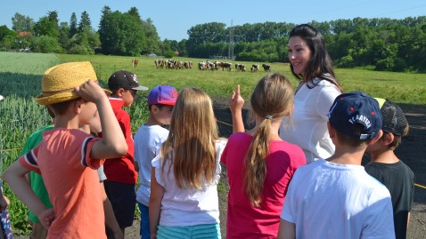 Schulkinder mit Bäuerin am Rande einer Weide mit Rindern