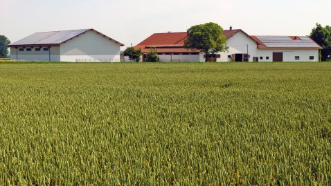 Bauernhof in Bayern mit reifendem Getreidefeld