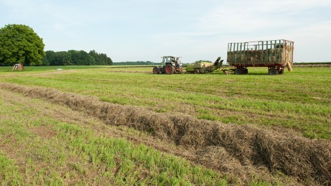 Heuernte auf Grünland in Bayern