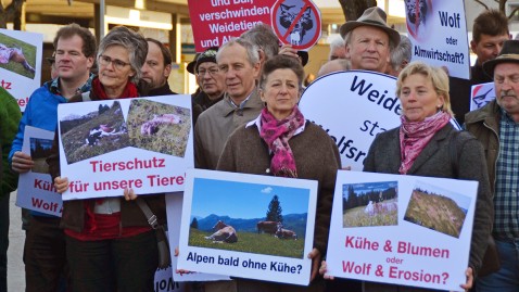 Bäuerinnen und Bauern sorgen sich um ihre Tiere und demonstrieren gegen den Wolf