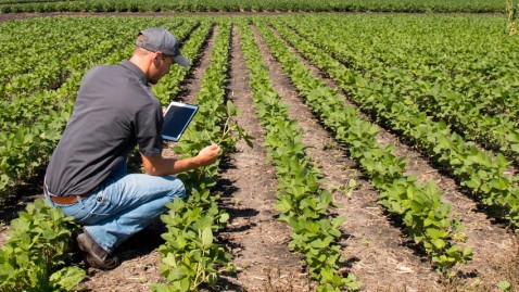 Junger Bauer kniet mit Tablet über seinem Feld