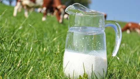 Krug mit Milch auf grüner Wiese mit Kühen