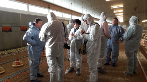 Bei Stallgesprächen zeigen Bayerns Bauern Journalisten ihre Ställe