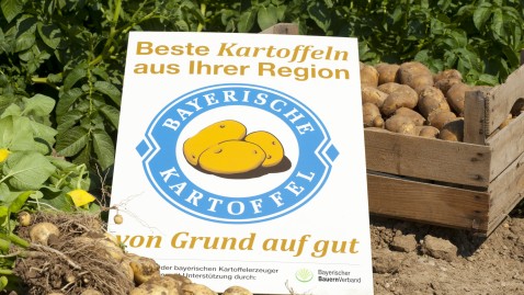 Kartoffelkiste mit Logoschild auf Acker