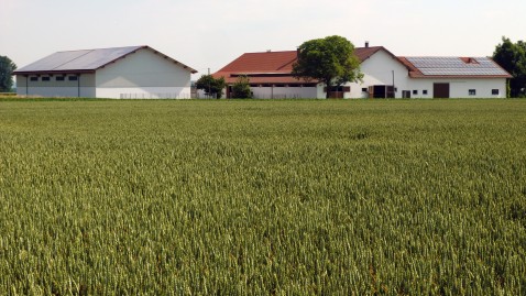 Flächenverbrauch in Bayern: Betriebe der Land- und Forstwirtschaft sind bedroht.