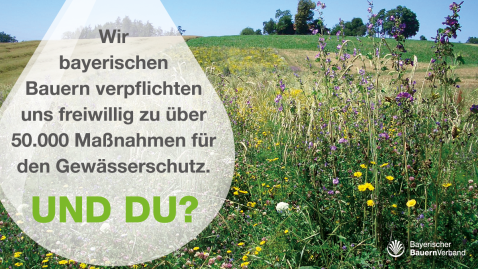 Die bayerischen Bauern verpflichten sich freiwillig zu über 50.000 Maßnahmen für den Wasser- und Gewässerschutz.