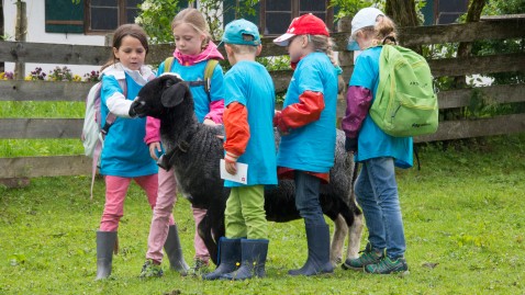 Kinder mit einem Schaf