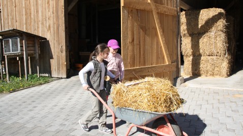 Kinder fahren eine Schubkarre mit Stroh