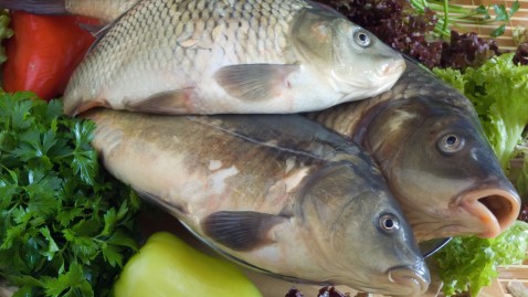 Fische