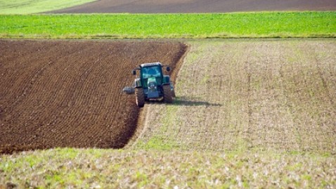 Ein Schlepper pflügt ein Feld.