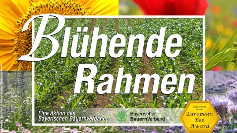 Es ist das farbige Schild "Blühende Rahmen" zu sehen