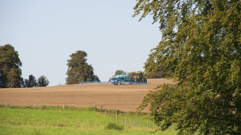Pflanzenschutz