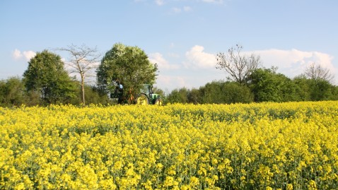 Düngeverordnung