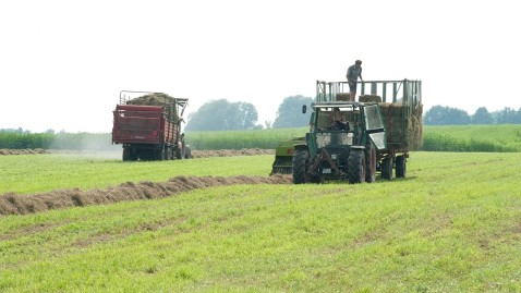 Heuernte auf Grünland in Bayern