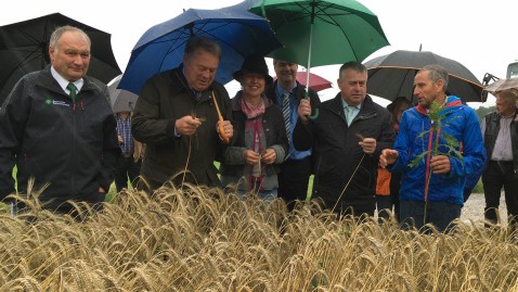 Die Kreisbäuerinn und Kreisobman aus dem Landkreis Starnberg zusammen mit Bauernpräsident Heidl und Landwirtschaftsminister Brunner im Weizenfeld.