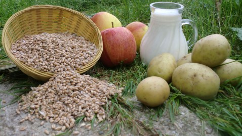 Apfel Milch Kartoffel Getreide